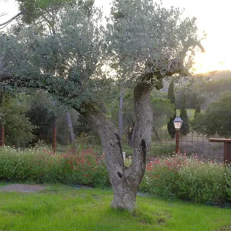 Villa Calma